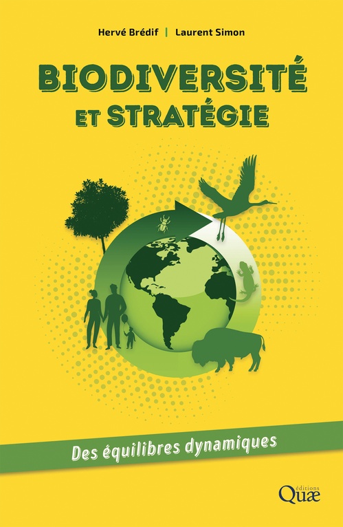 ebook cover of Biodiversité et stratégie, by Hervé Brédif, Laurent Simon