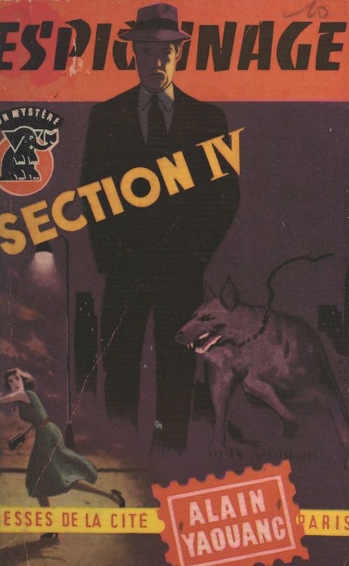 Couverture ebook de Section IV, de Alain Yaouanc