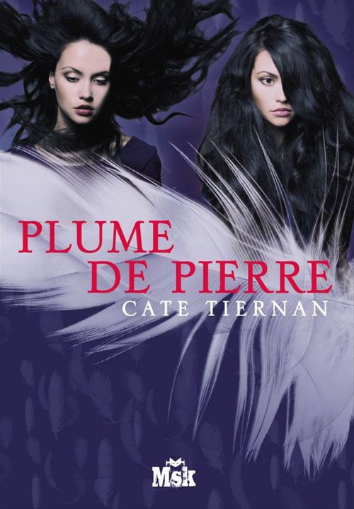Couverture ebook de Plume de pierre, de Cate Tiernan