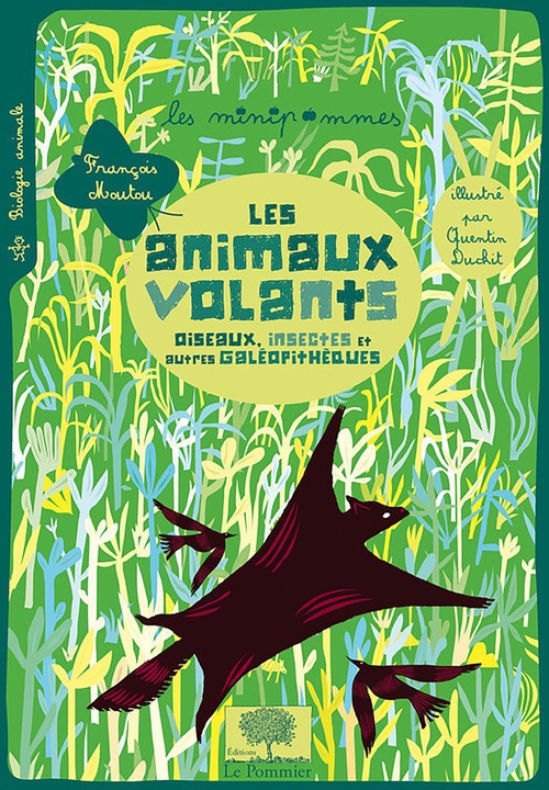 Couverture ebook de Les animaux volants : Oiseaux, insectes et autres galéopithèques, de Quentin Duckit, François Moutou