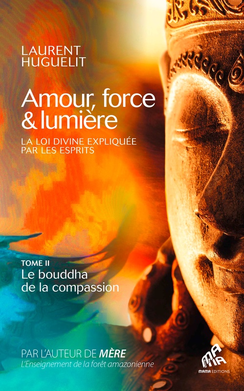 ebook cover of Amour, force & lumière, La Loi divine expliquée par les esprits, by Laurent Huguelit
