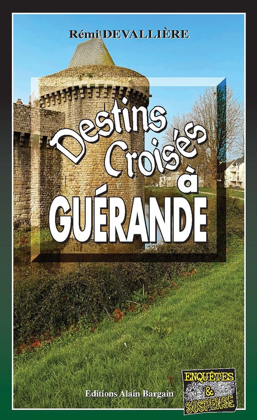 ebook cover of Destins croisés, by Rémi Devallière