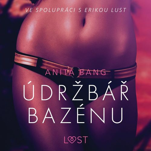 audiobook cover of Údrzbár bazénu - Sexy erotika, by Anita Bang