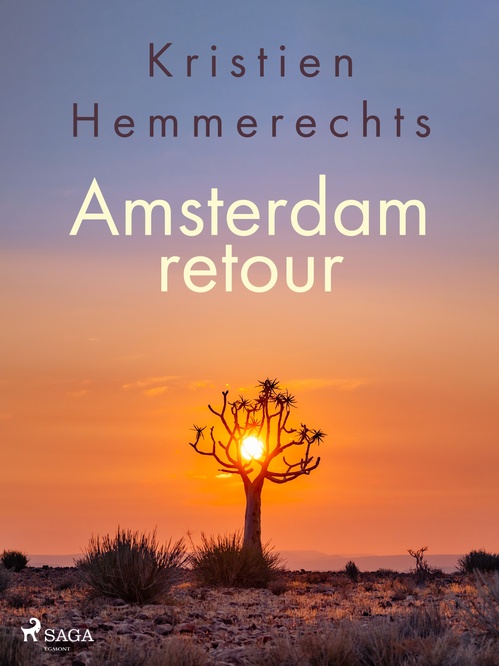 Couverture ebook de Amsterdam retour, de Kristien Hemmerechts