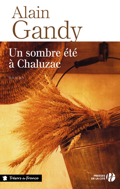 ebook cover of Un sombre été à Chaluzac, by Alain Gandy