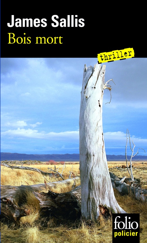 Couverture ebook de Les enquêtes de John Turner (Tome 1) - Bois mort, de James Sallis
