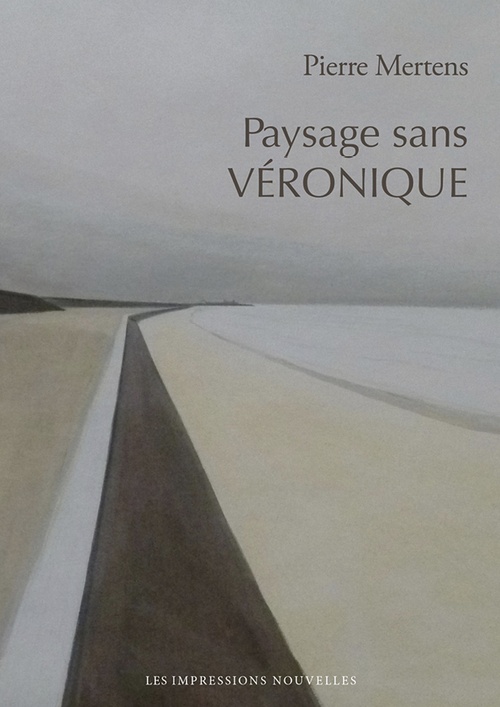 ebook cover of Paysage sans Véronique, by Pierre Mertens