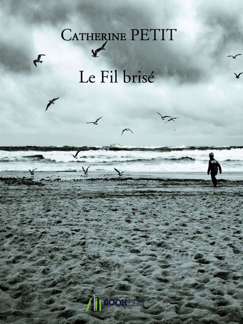 ebook cover of Le fil brisé, by Catherine Petit