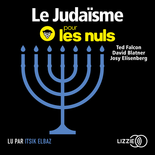 Couverture audiobook de Le Judaïsme pour les nuls, de David Blatner, Josy Eisenberg, Ted Falcon