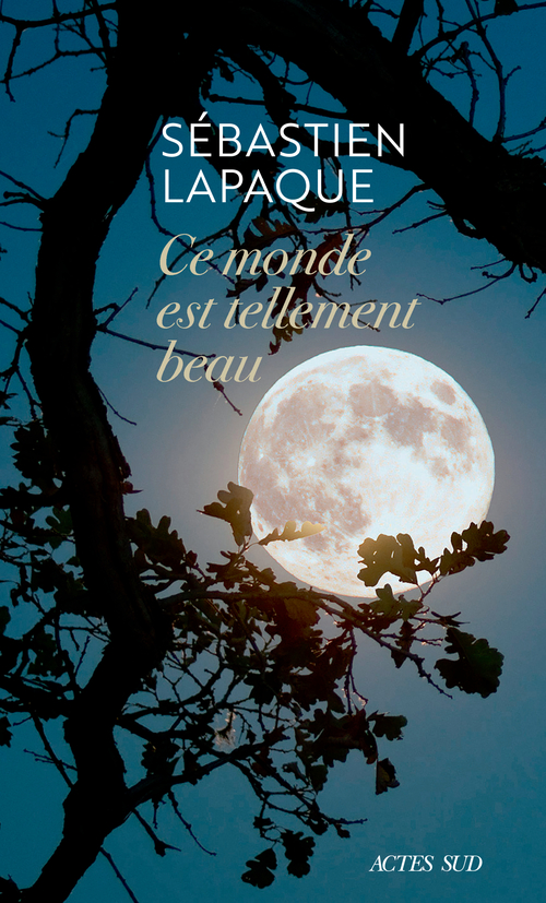 Couverture ebook de Ce monde est tellement beau, de Sébastien Lapaque