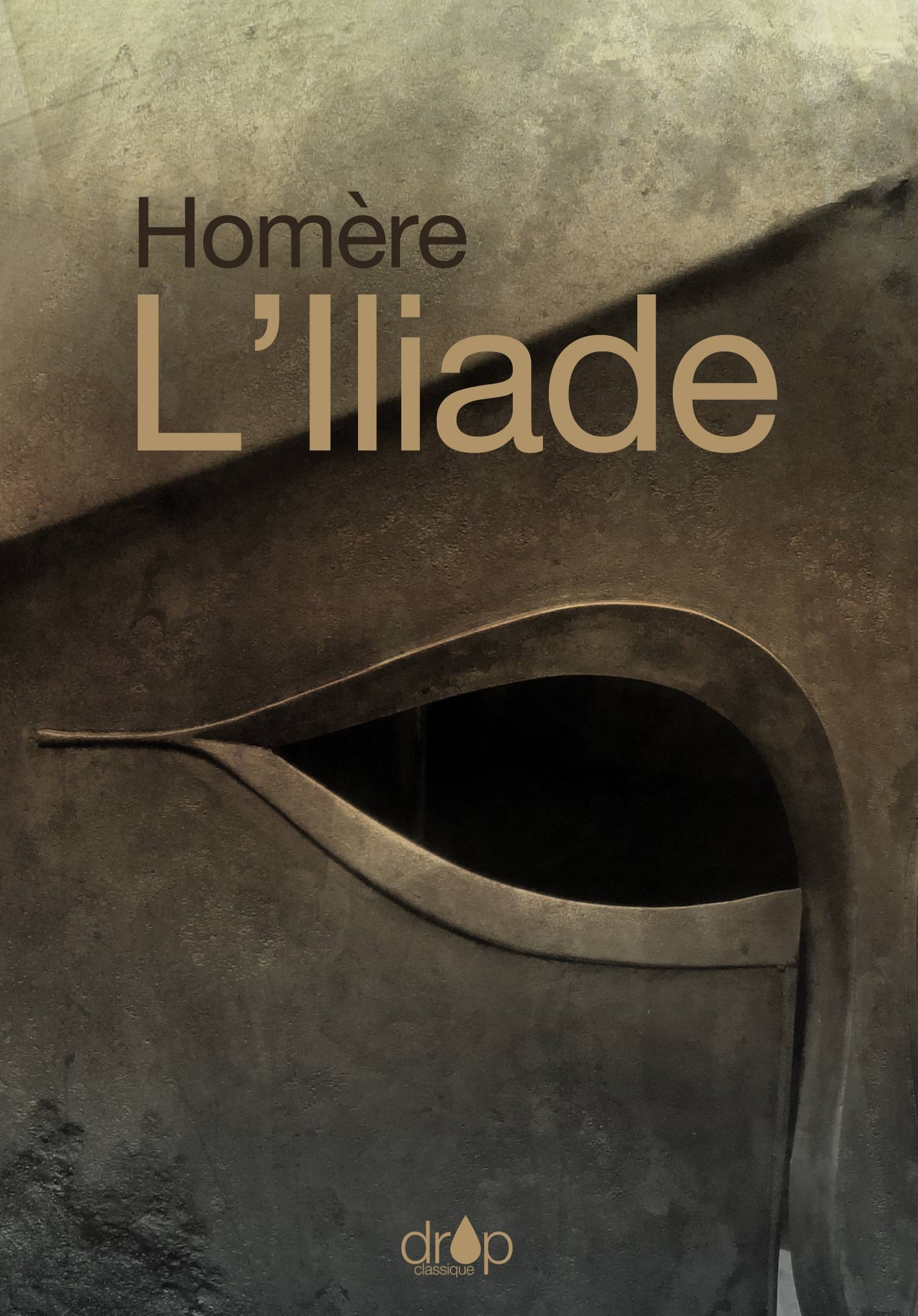 ebook cover of L´Iliade, by Homère