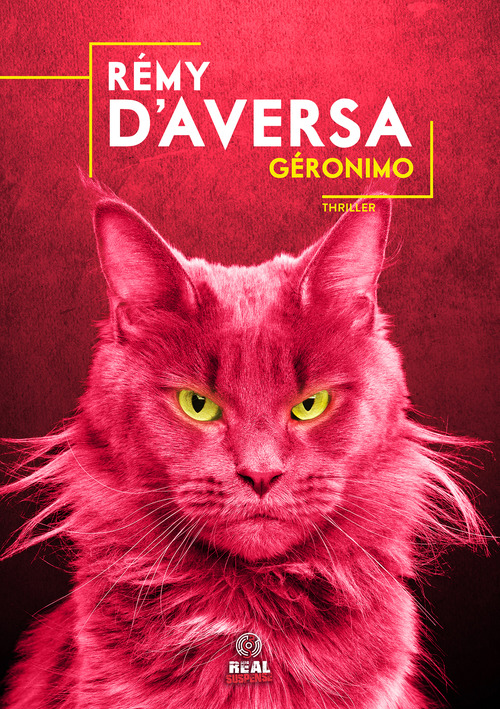 Couverture ebook de Géronimo, de Rémy d'Aversa