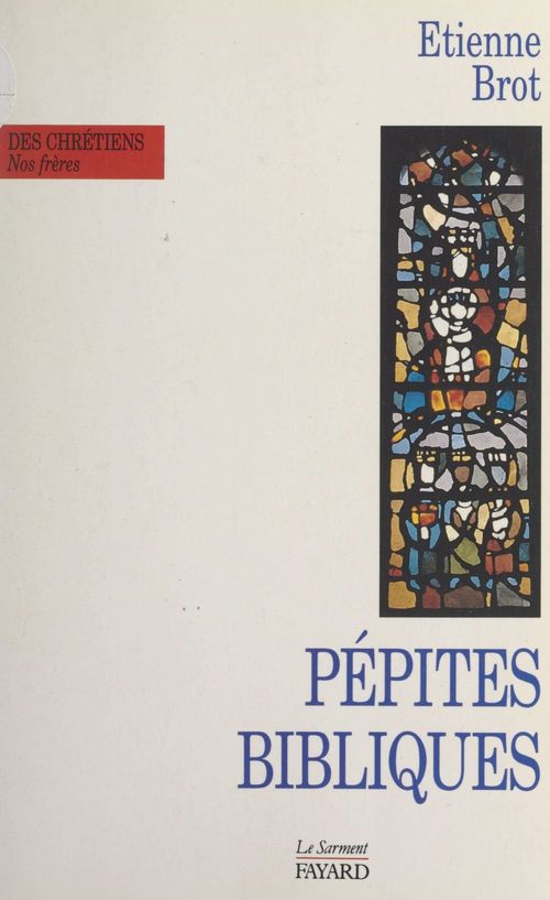 Couverture ebook de Pépites bibliques, de Etienne Brot