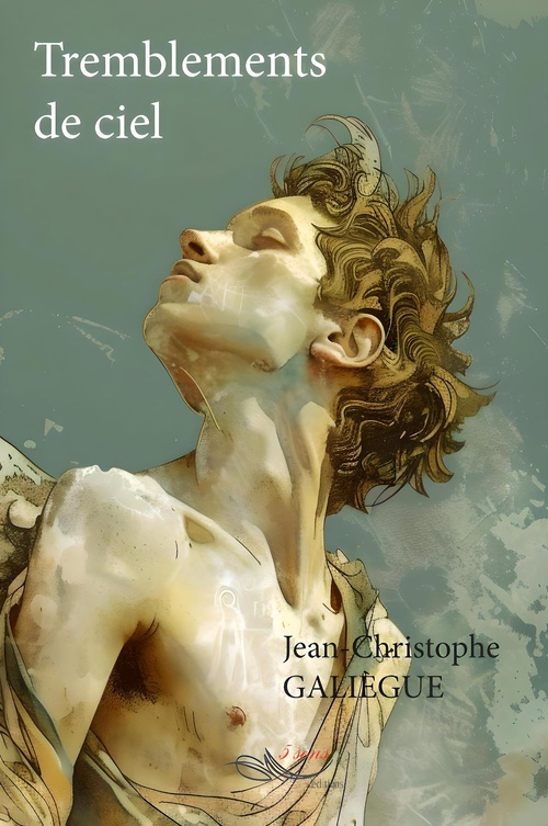 Couverture ebook de Tremblements de ciel, de Jean-Christophe Galiègue