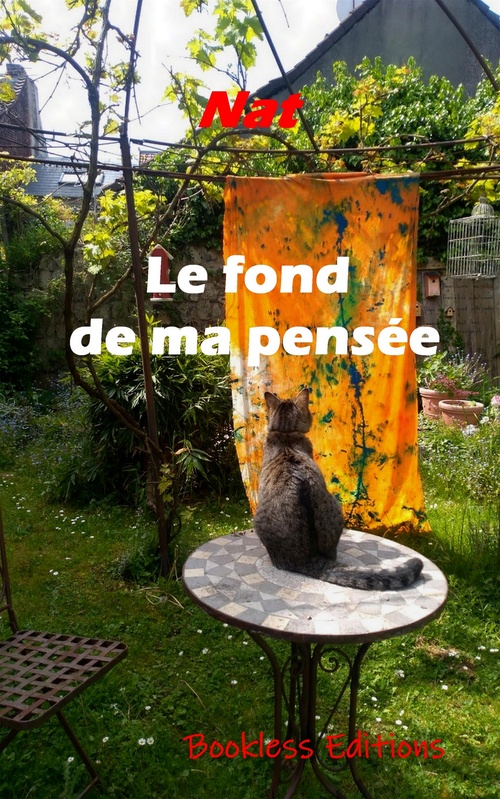 Couverture ebook de Le fond de ma pensée, de Nathalie Carlier