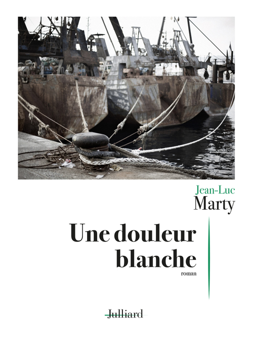 Couverture ebook de Une douleur blanche, de Jean-Luc Marty