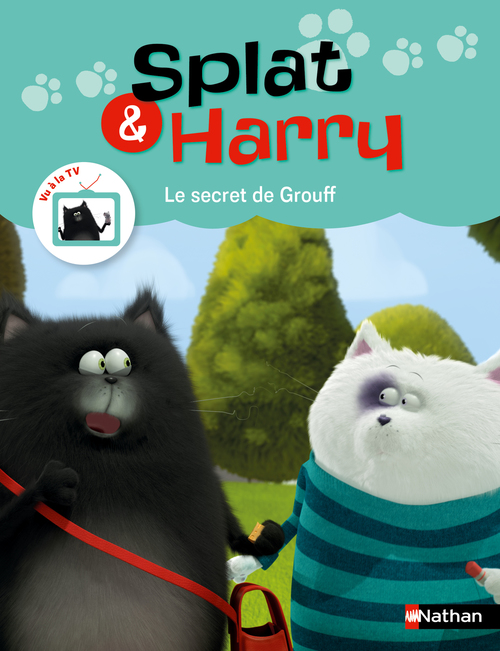 ebook cover of Splat et Harry : Le secret de Grouff, by Ségolène Basso Brusa