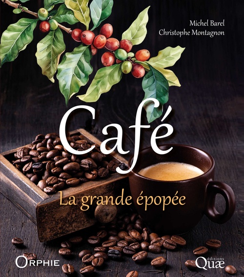 ebook cover of Café, by Michel Barel, Christophe Montagnon