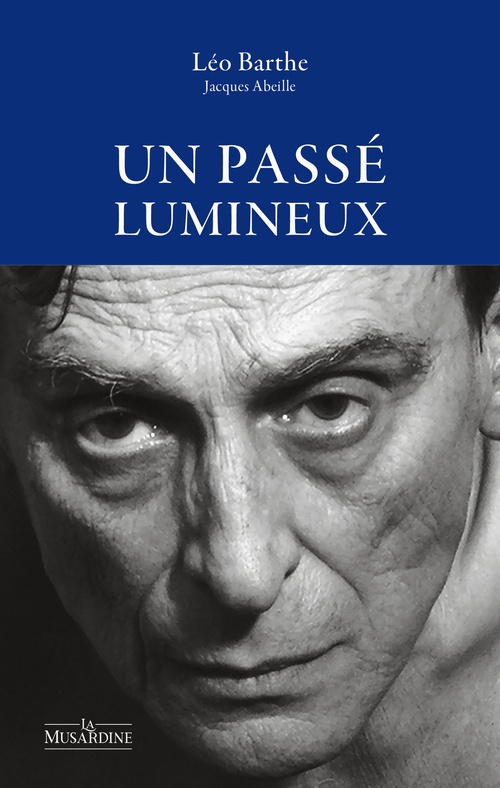 ebook cover of Un passé lumineux, by Léo Barthe
