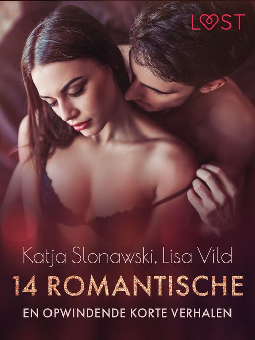 Couverture ebook de 14 romantische en opwindende korte verhalen - een erotische verzameling, de Katja Slonawski, Lisa Vild