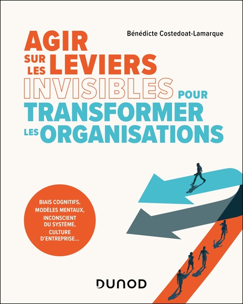 ebook cover of Agir sur les leviers invisibles pour transformer les organisations, by Bénédicte Costedoat-Lamarque