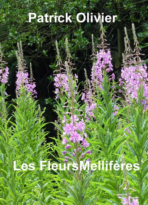 ebook cover of Les Plantes Mellifères, by Patrick Olivier