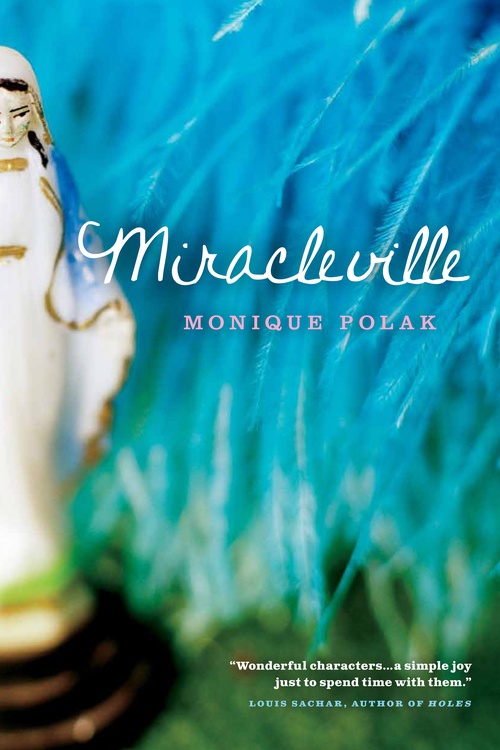 ebook cover of Miracleville, by Monique Polak