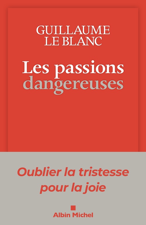 ebook cover of Les Passions dangereuses, by Guillaume Le Blanc
