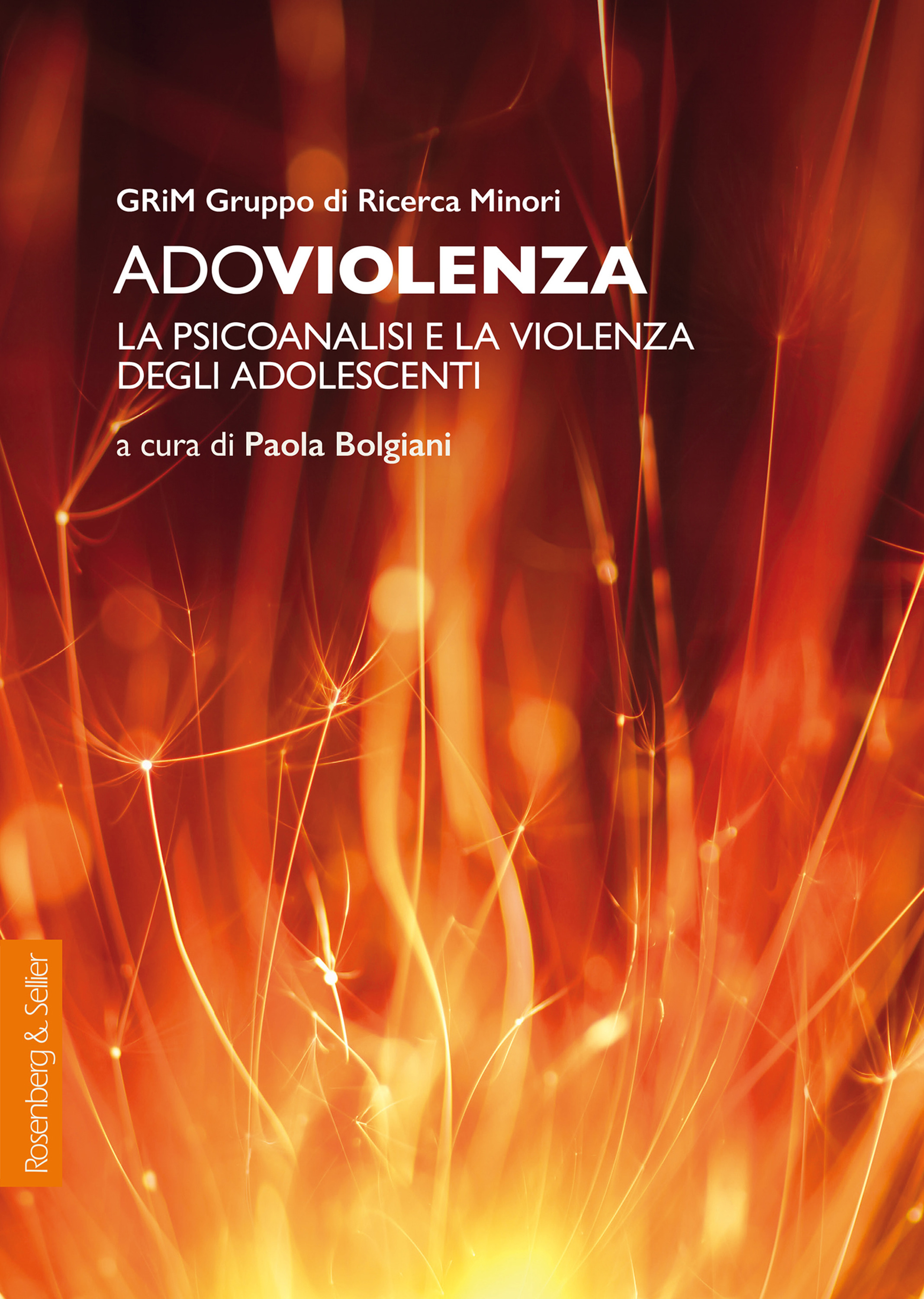 Couverture ebook de Adoviolenza, de Paola Bolgiani
