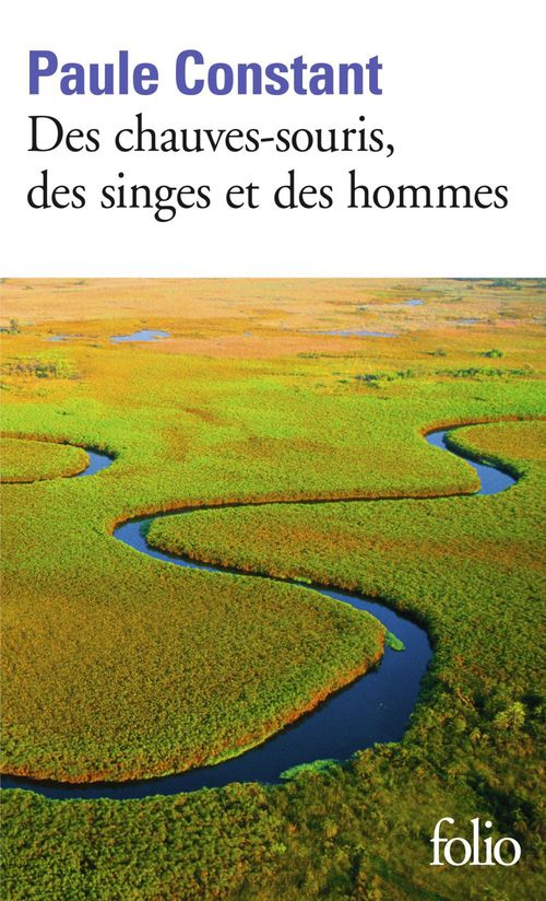 Couverture ebook de Des chauves-souris, des singes et des hommes, de Paule Constant
