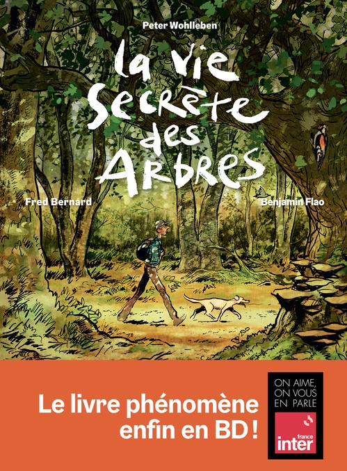 Couverture ebook de La Vie secrète des arbres, de Fred Bernard, Benjamin Flao, Peter Wohlleben