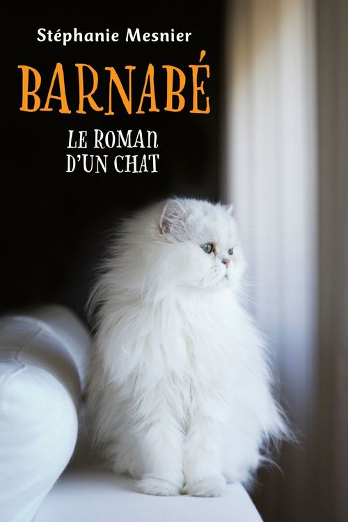 Couverture ebook de Barnabé, de Stéphanie Mesnier
