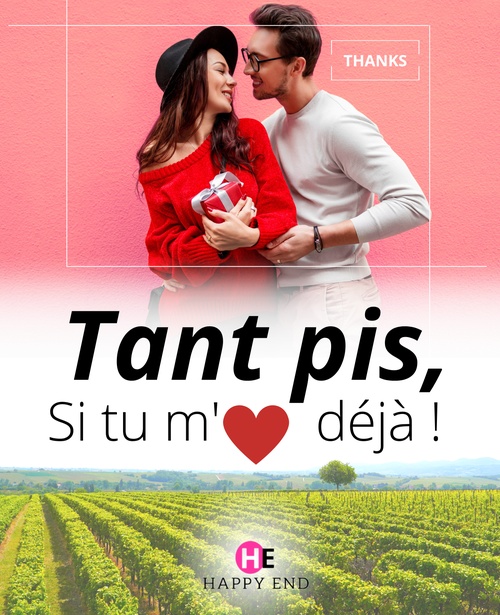 ebook cover of Tant pis si tu m'aimes pas, by Thanks