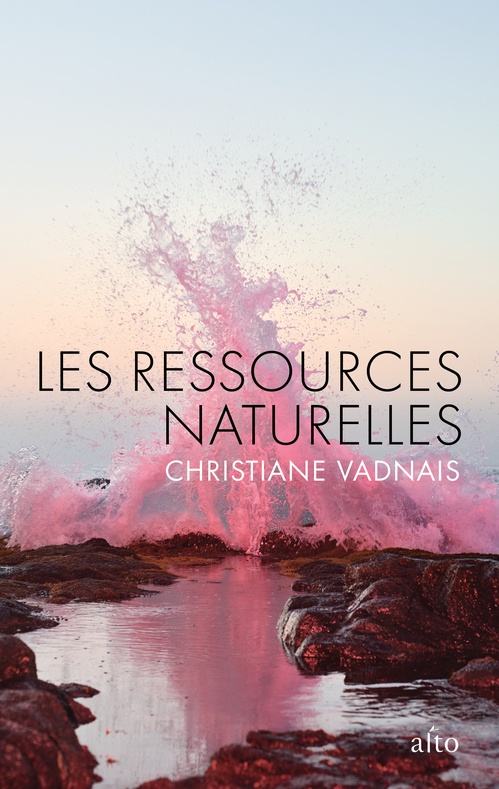 ebook cover of Les ressources naturelles, by Christiane Vadnais