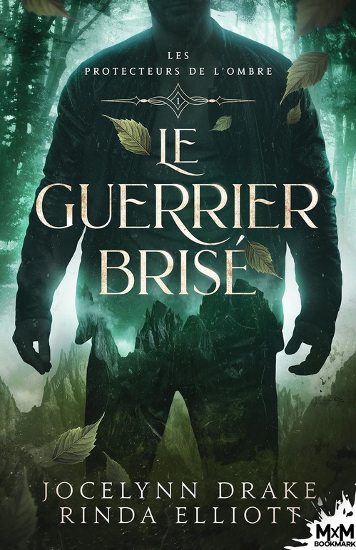 Couverture ebook de Le Guerrier brisé, de Jocelynn Drake, Rinda Elliott