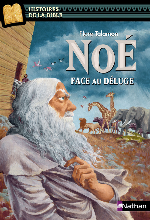 Couverture ebook de Noé face au déluge EPUB2, de Julie Ricossé, Flore Talamon
