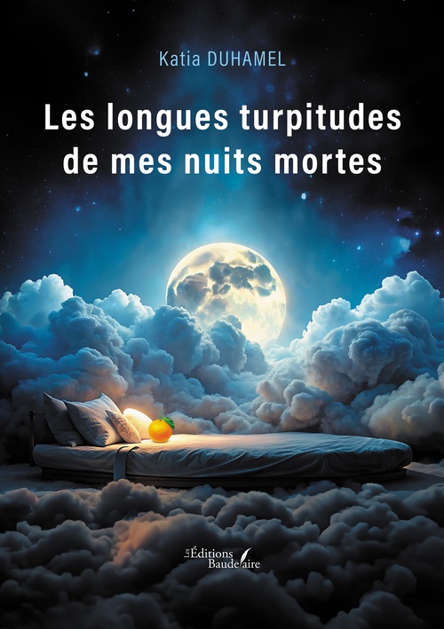 ebook cover of Les longues turpitudes de mes nuits mortes, by Katia Duhamel