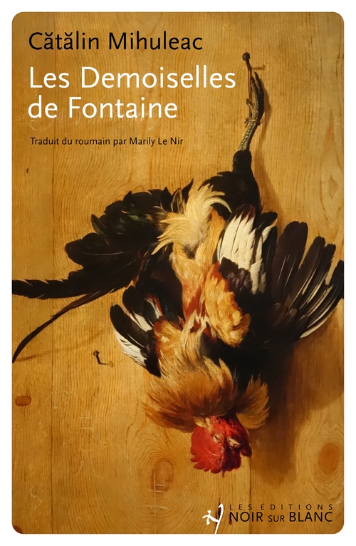 ebook cover of Les Demoiselles de Fontaine, by Catalin Mihuleac