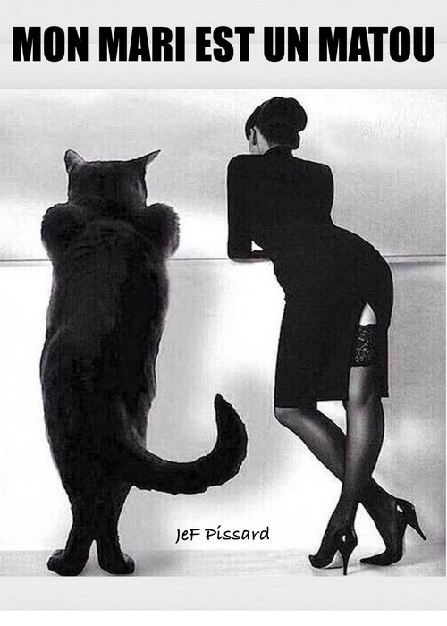 ebook cover of Mon mari est un matou, by Jef Pissard