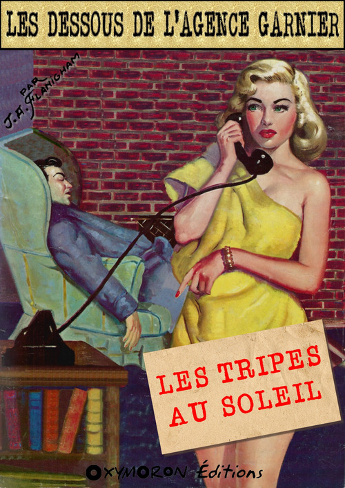 Couverture ebook de Les tripes au soleil, de J.A. Flanigham