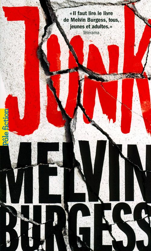 ebook cover of Junk, by Melvin Burgess