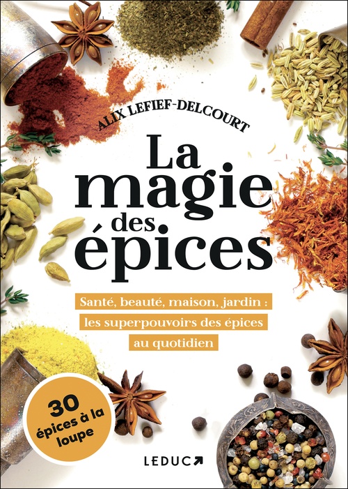 ebook cover of La magie des épices, by Alix Lefief-Delcourt