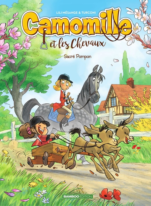 Couverture ebook de Camomille et les chevaux - Tome 2, de Lili Mésange, Stefano Turconi