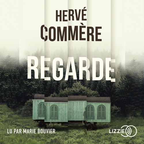 audiobook cover of Regarde, by Hervé Commère