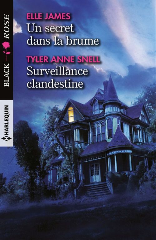 ebook cover of Un secret dans la brume - Surveillance clandestine, by Elle James, Tyler Anne Snell