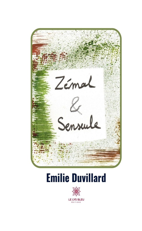 ebook cover of Zémal et Senseule, by Emilie Duvillard