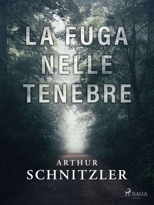 Couverture ebook de La fuga nelle tenebre, de Arthur Schnitzler