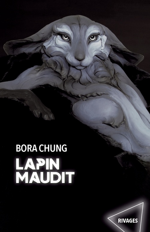 ebook cover of Lapin maudit, by Bora Chung