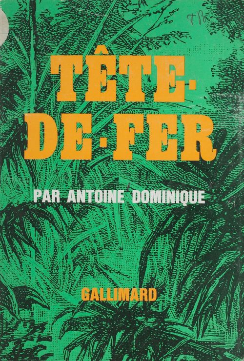 Couverture ebook de Tête-de-fer, de Dominique A.-L.