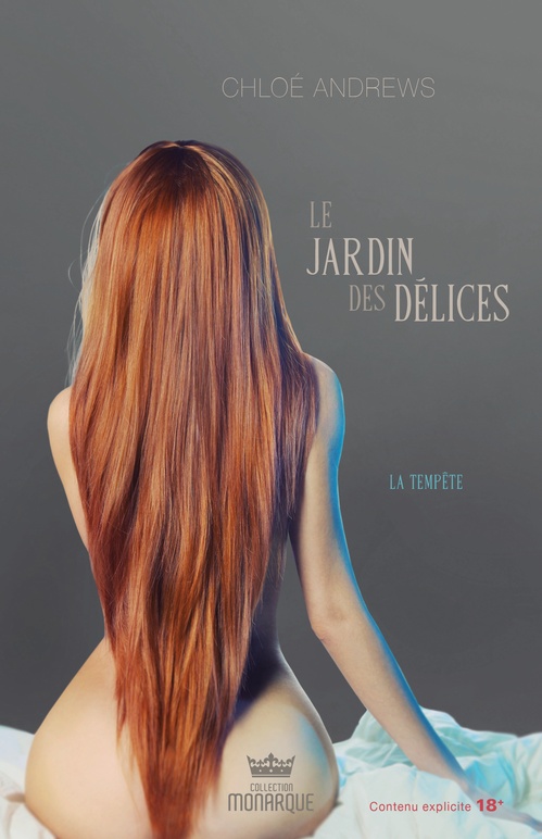 Couverture ebook de La tempête, de Chloé Andrews